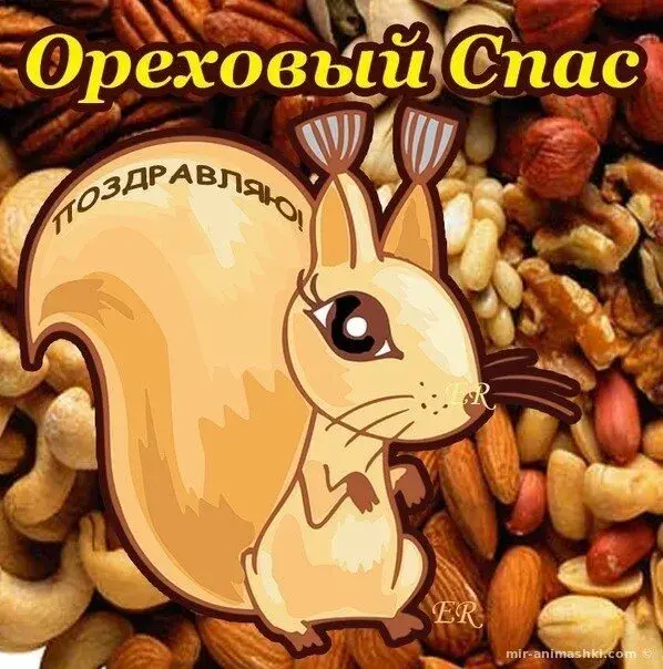 Открытка Ореховый спас - Белка с орехами: открытка с милым зверьком | Красивая открытка #127