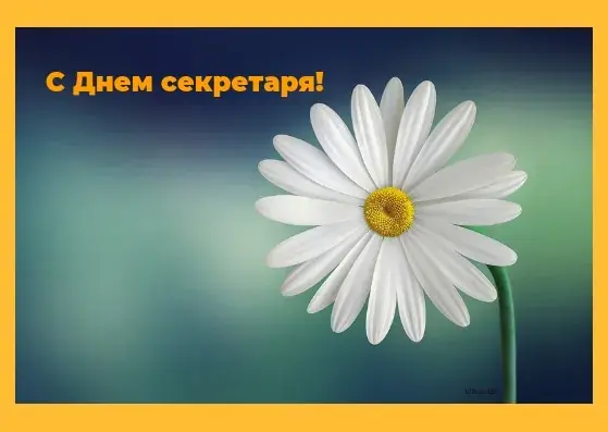 Открытка С днем секретаря - Открытка с цветком: день рождения, поздравления | Красивая открытка #37