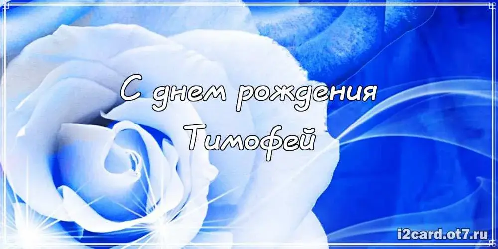 Открытка Открытки с именем Тимофей - Открытка с днем рождения: голубой цветок | Красивая открытка #226