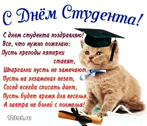 Открытка День студента - Открытка с котиком студентом | Красивая открытка #138