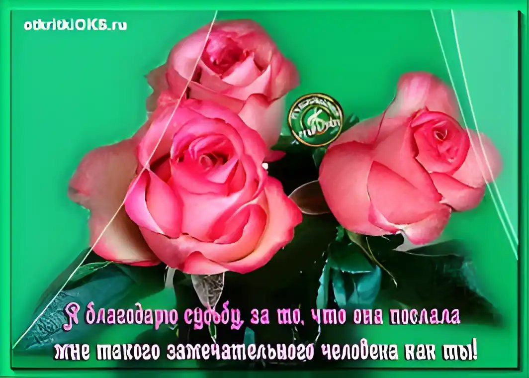 Открытка открытки с благодарностью  - Розовые розы на открытке: красивые цветы и поздравления | Красивая открытка #246
