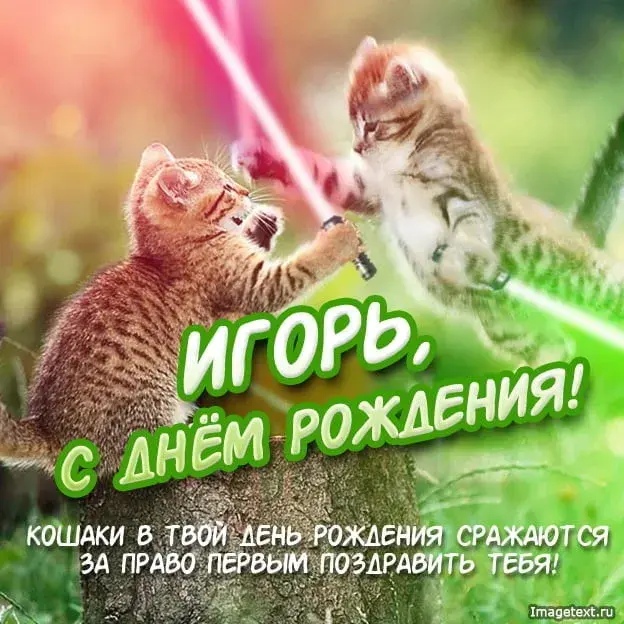 Открытка открытки с именем Игорь - С Днем Рождения! Открытка с котиками — ImageText.ru | Красивая открытка #207