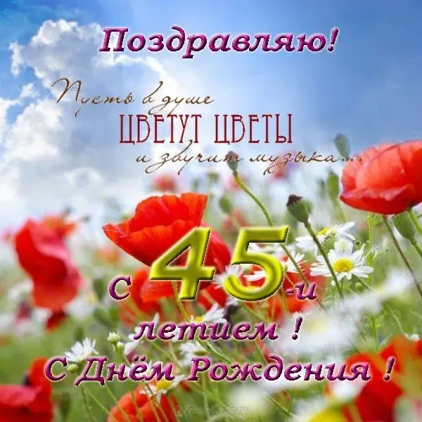 Открытка Открытки на 45 лет - Открытка с цветами: маки, ромашки, поздравление с днем рождения | Красивая открытка #146