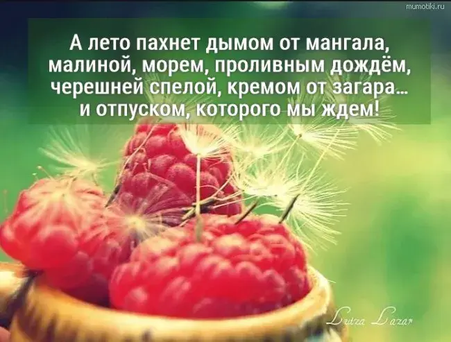 Открытка Стихи о лете - Открытка с малиной в корзинке  Свежие ягоды | Красивая открытка #20
