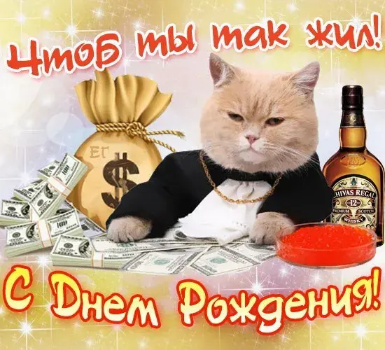 Открытка С днем рождения для коллеги - Открытка: кот, деньги, виски. С Днём Рождения! | Красивая открытка #47