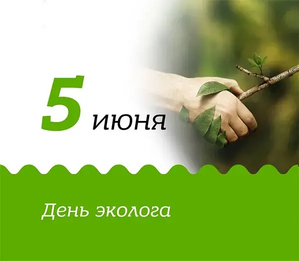 Открытка День эколога - Открытка с веткой и зелеными листьями | Красивая открытка #5