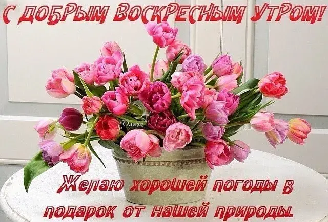 Открытка Открытки на воскресенье - Букет розовых тюльпанов в вазе. Открытка с цветами | Красивая открытка #81