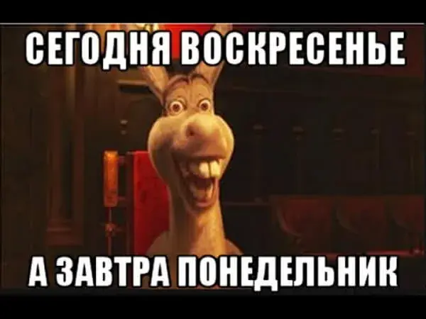 Открытка Открытки на воскресенье - Шрек: Открытка с Осла  Смешная картинка | Красивая открытка #68