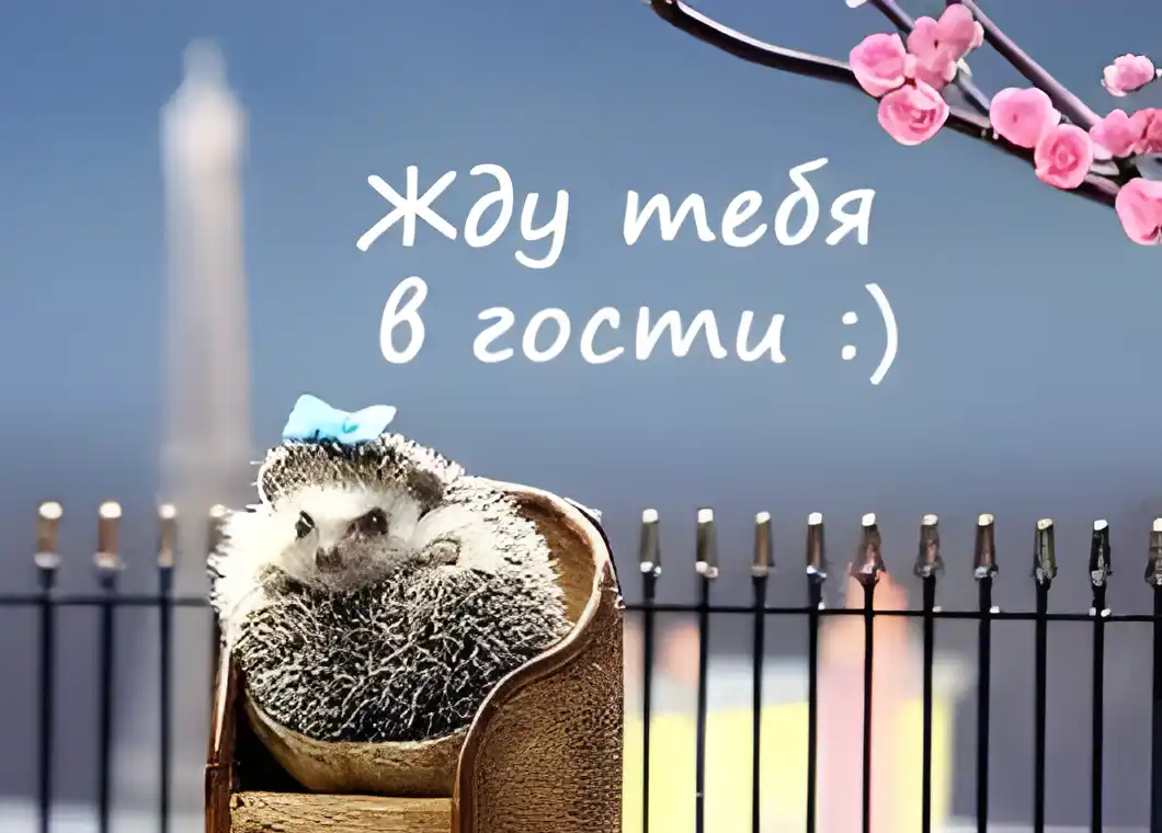 Открытка Открытки жду тебя - Еж в плетеной корзинке на фоне Эйфелевой башни | Красивая открытка #74