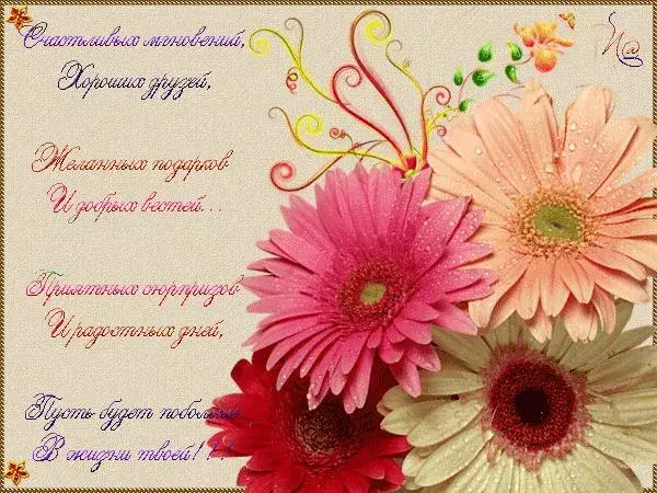 Открытка С герберами - Открытка с красными и розовыми цветами | Красивая открытка #7