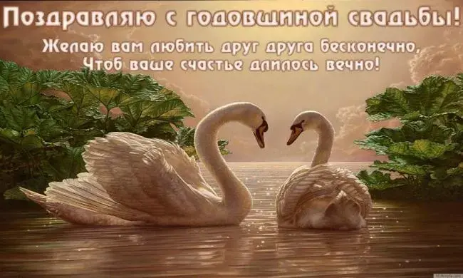 Открытка С лебедями - Два лебедя на воде: открытка с изображением | Красивая открытка #30