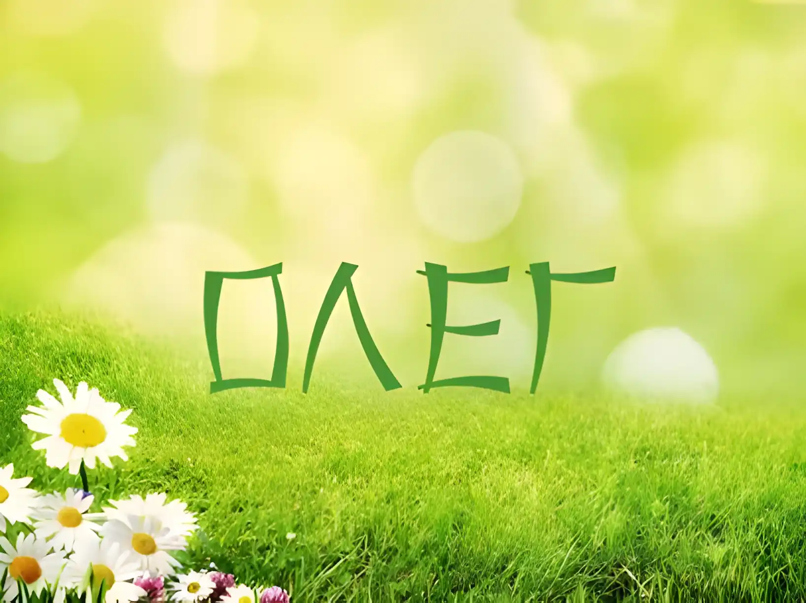 Открытка Открытки с именем Олег  - Открытка: Зелёный луг с ромашками и надписью "Привет" | Красивая открытка #232