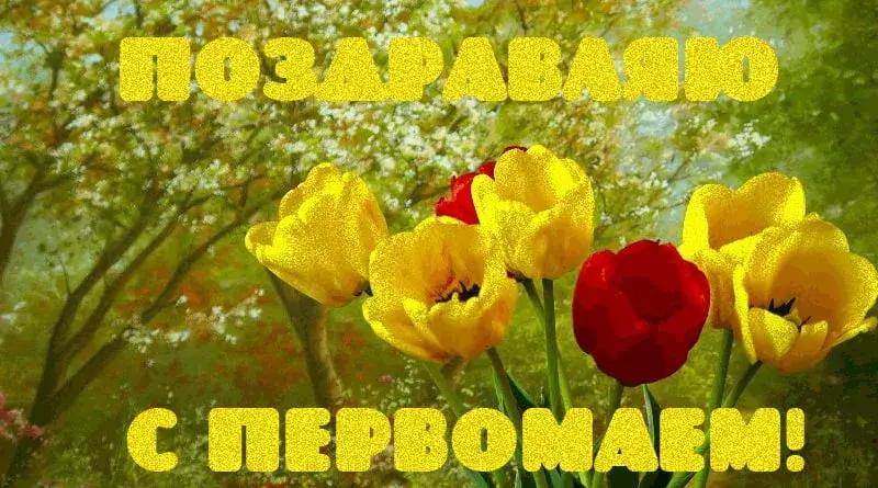 Открытка 1 мая - Открытка с красными и жёлтыми тюльпанами | Красивая открытка #225