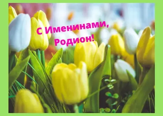 Открытка Открытки с именем Родион  - Открытка с желтыми тюльпанами | Красивая открытка #47