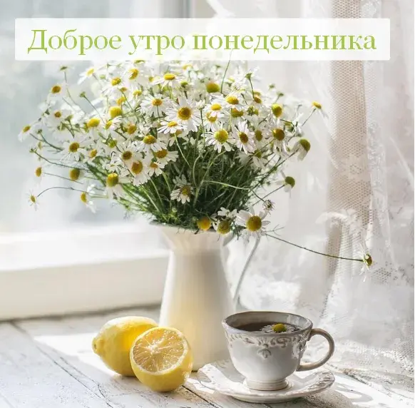Открытка Доброе утро понедельник - Полевые цветы, чай и лимон: нежная открытка | Красивая открытка #18