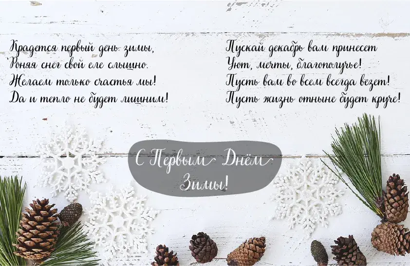 Открытка С первым днём зимы - Зимняя открытка: ель, шишки, снежинка | Красивая открытка #25