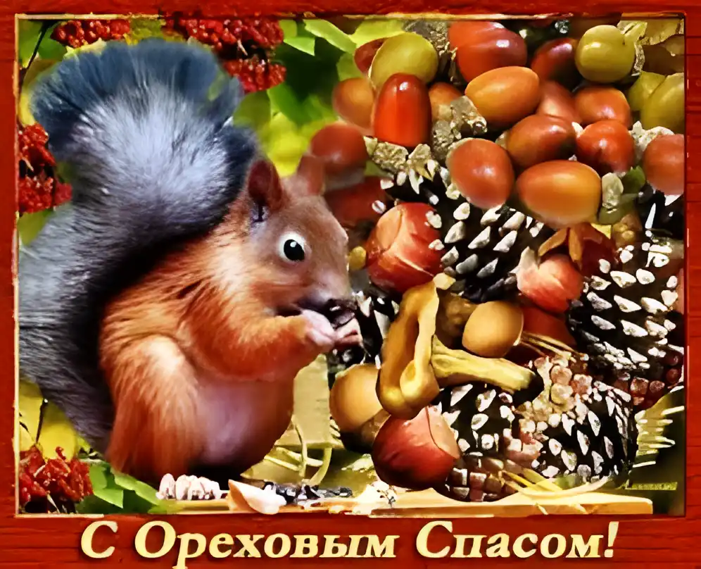 Открытка Открытки с Ореховым Спасом - Белка с орехами: открытка с изображением лесного зверька | Красивая открытка #83