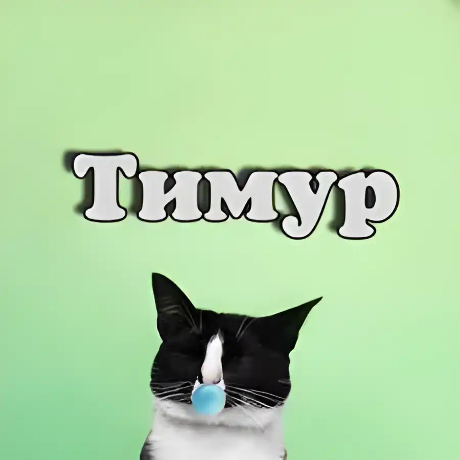 Открытка Открытки с именем Тимур - Черный кот с белым пятном на мордочке, зелёный фон. | Красивая открытка #158