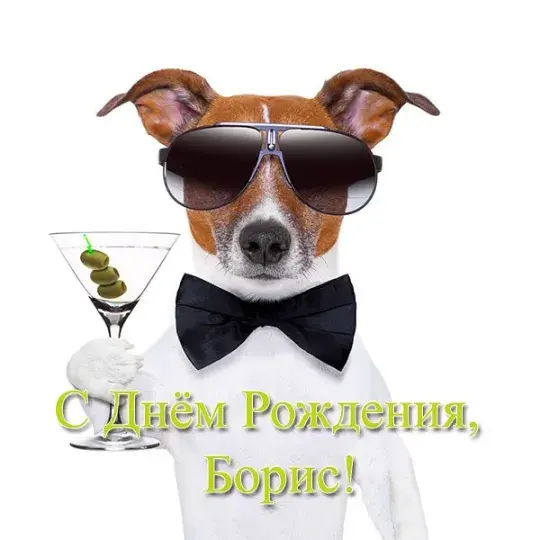 Открытка открытки с именем Борис - Собака с коктейлем: Открытка с днем рождения | Красивая открытка #74