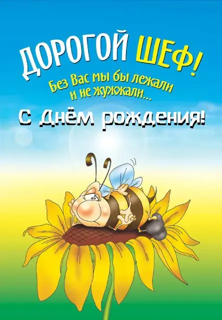 Открытка С Днём рождения коллеге - Пчелка на подсолнухе: открытка с днем рождения | Красивая открытка #22