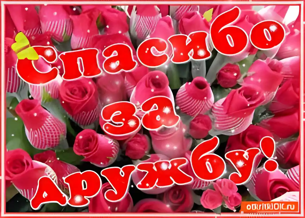 Открытка Открытки о дружбе - Открытка с розами: нежные красные цветы | Красивая открытка #175