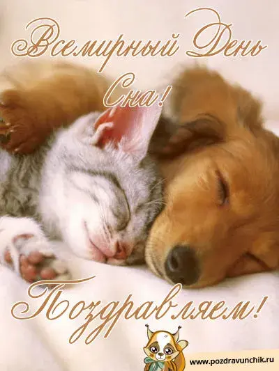 Открытка Всемирный день сна - Спящий котенок: милая открытка с котенком | Красивая открытка #10
