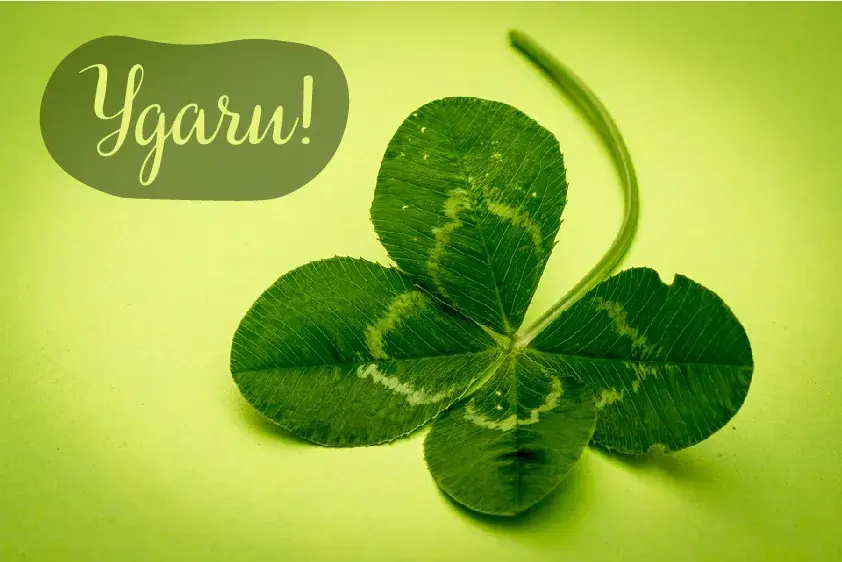 Открытка Удачи - Клевер: Зеленый лист для открытки  Символ удачи | Красивая открытка #23