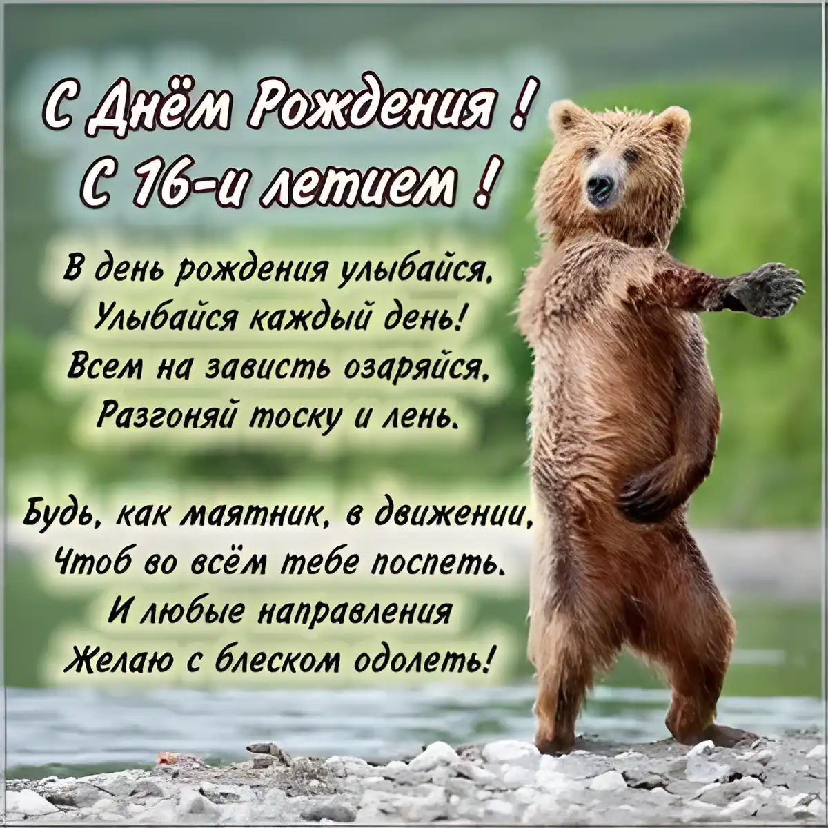 Открытка Открытки на 16 лет - Открытка с медведем: С Днем Рождения! | Красивая открытка #109