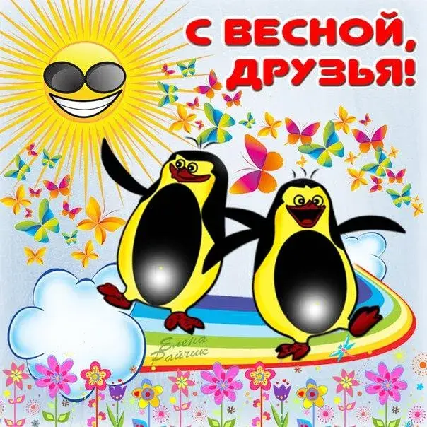 Открытка С первым днём весны - Пингвины. Открытка с пингвинами. | Красивая открытка #28