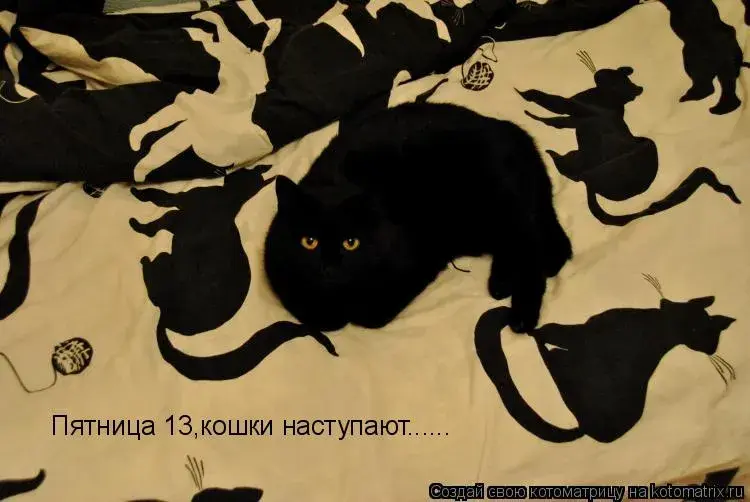 Открытка Открытки на пятницу 13 - Открытка с черными котами на белом фоне | Красивая открытка #178