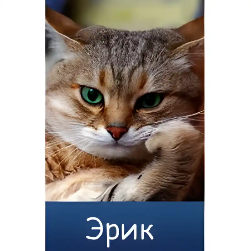 Открытка Открытки с именем Эрик - Открытка с рыжим котом - купить онлайн | Красивая открытка #132