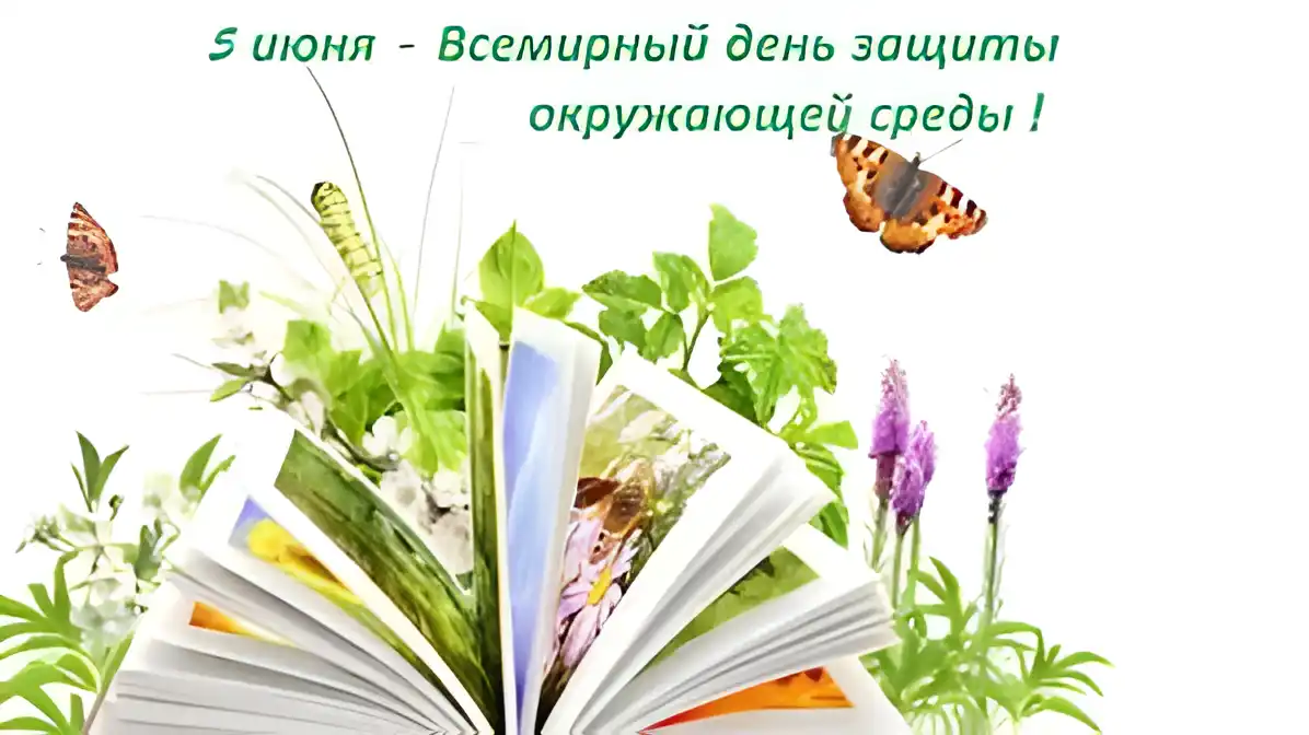 Открытка Открытки с днем эколога - Открытка с книгой и цветами | Красивая открытка #29