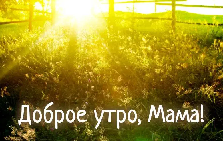 Открытка Доброе утро - Летний пейзаж: трава, солнце, поляна | Красивая открытка #472
