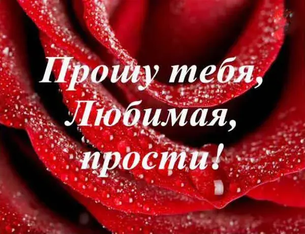 Открытка Открытки с извинениями любимым - Красная роза с брызгами, праздничная открытка | Красивая открытка #4
