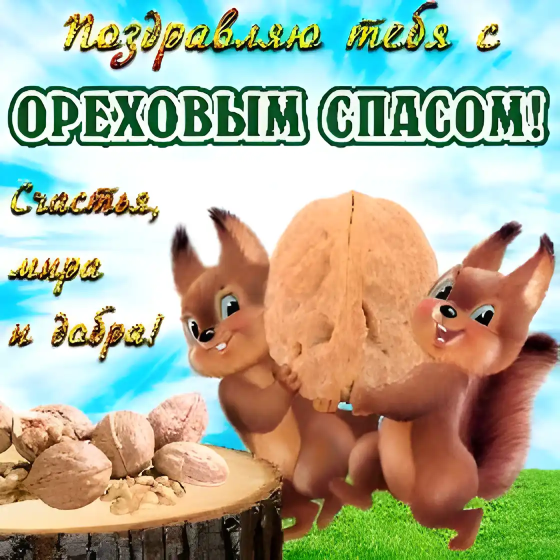Открытка С белочками - Белки с орехами: праздничная открытка с добрым настроением | Красивая открытка #39