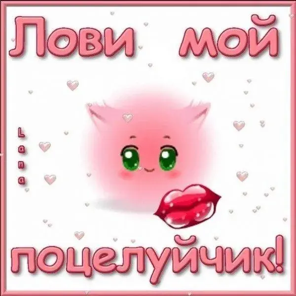 Открытка Целую - Открытка с милым котиком и поцелуем | Красивая открытка #5