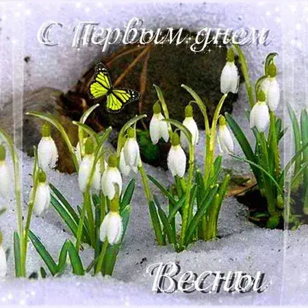 Открытка  С первым днем весны - Подснежники на снегу: весенняя открытка | Красивая открытка #120