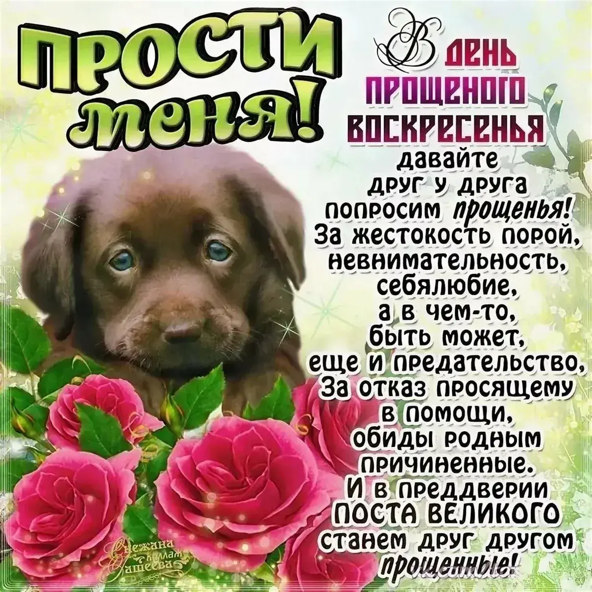 Открытка Прощённое воскресенье - Прости меня, прости! Открытка с цветами и бабочками | Красивая открытка #26