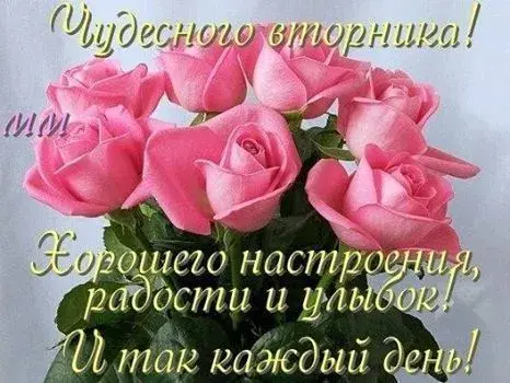 Открытка Открытки на вторник - Букет роз: открытка с цветами, поздравления | Красивая открытка #155