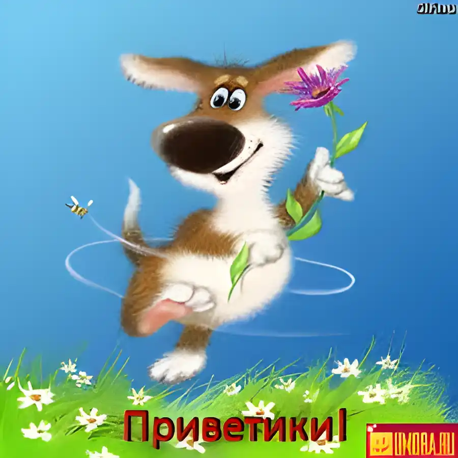 Открытка Открытки с приветствиями  - Открытка с собачкой: прикольная картинка для поздравлений | Красивая открытка #197