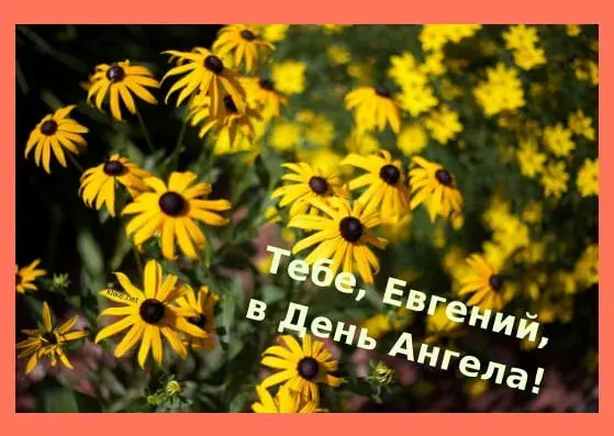 Открытка открытки с именем Евгений - Полевые цветы: поздравление с Днем ангела | Красивая открытка #122