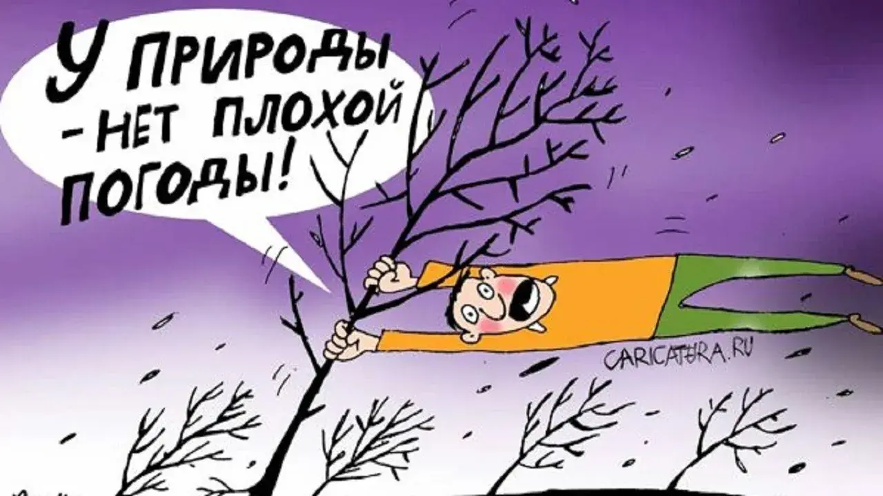 Открытка о погоде - Мужчина держит дерево, карикатура | Красивая открытка #26