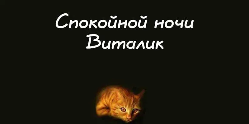 Открытка открытки с именем Виталий - Породистый кот на открытке | Красивая открытка #208