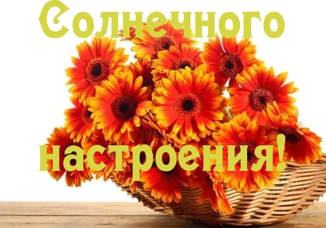 Открытка Для хорошего настроения - Корзина с оранжевыми хризантемами. | Красивая открытка #10