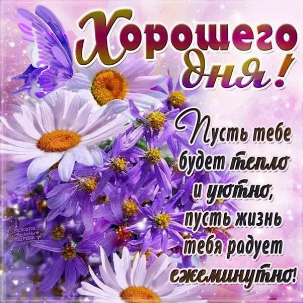 Открытка добрый день - Открытка с ромашками: С Днём рождения! | Красивая открытка #63
