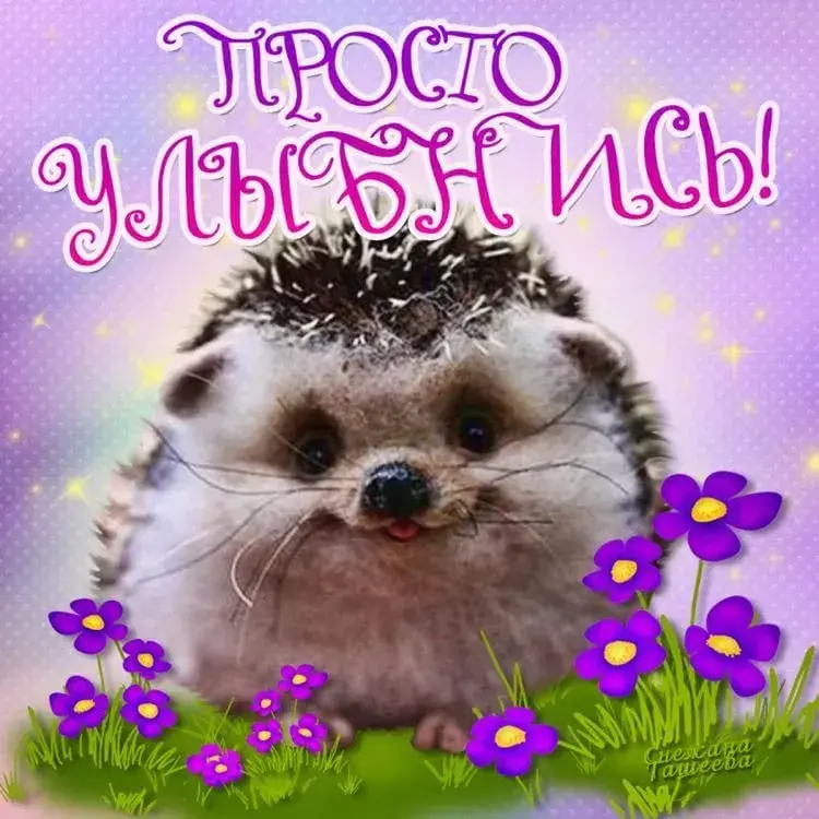 Открытка Улыбнись - Открытка с ёжиком и цветами | Красивая открытка #57