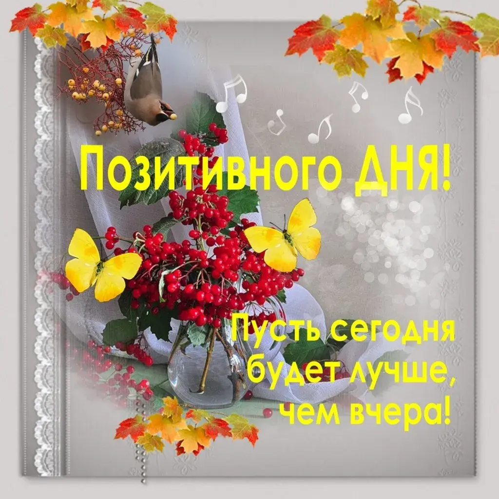 Открытка добрый день - Открытка с птицей, ягодами и бабочками | Красивая открытка #110