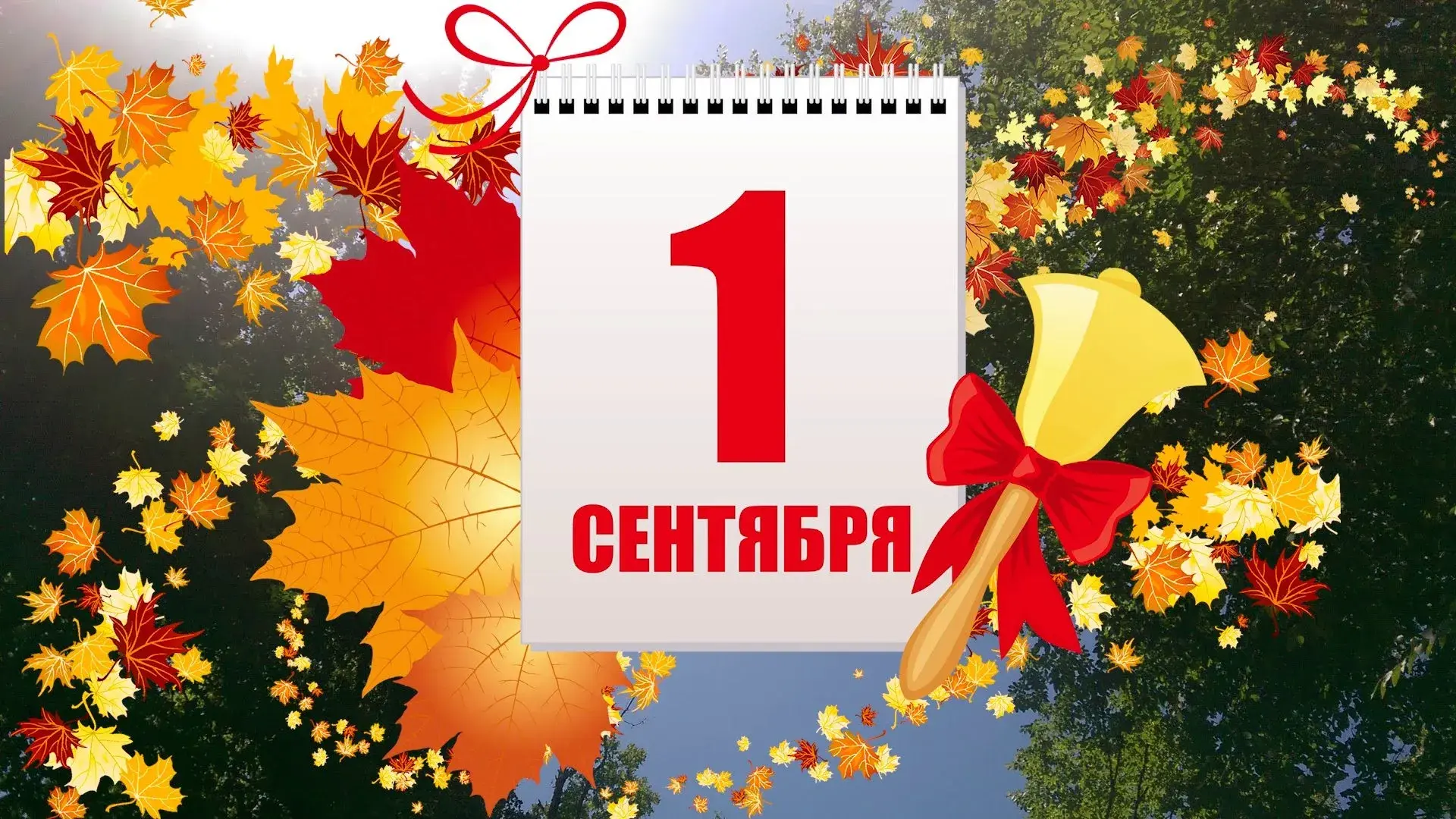 Открытка День знаний 1 сентября - Открытка с 1 сентября и осенними листьями | Красивая открытка #3