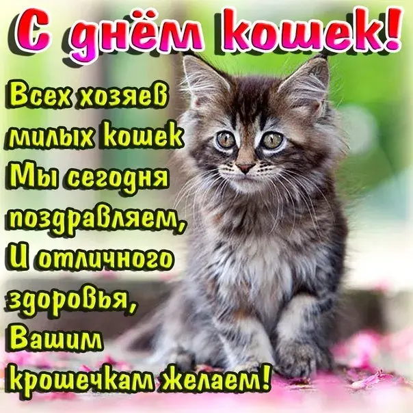 Открытка С Всемирным днём кошек - Открытка с котенком: С Днем! | Красивая открытка #53