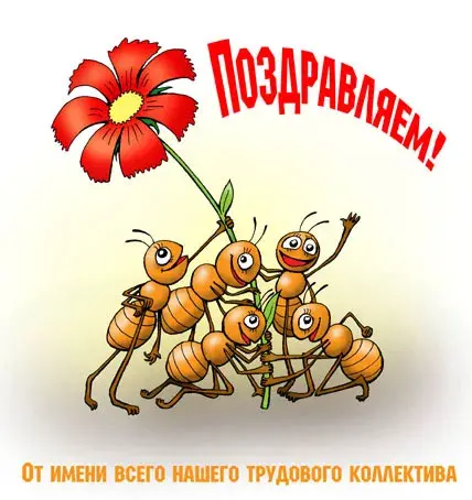 Открытка С днем рождения для коллеги - Открытка с муравьями и цветком | Красивая открытка #52